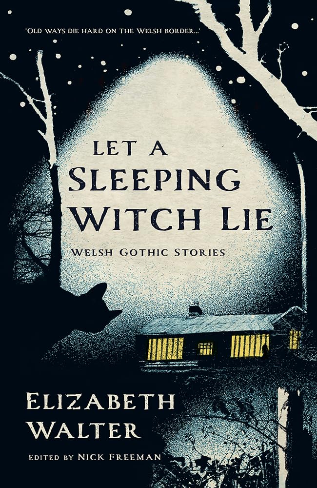 Let a Sleeping Witch Lie: Welsh Gothic Stories by Elizabeth Walter cover image