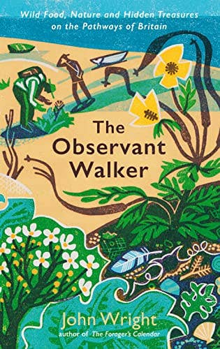 The Observant Walker: Wild Food, Nature and Hidden Treasures on the Pathways of Britain, John Wright